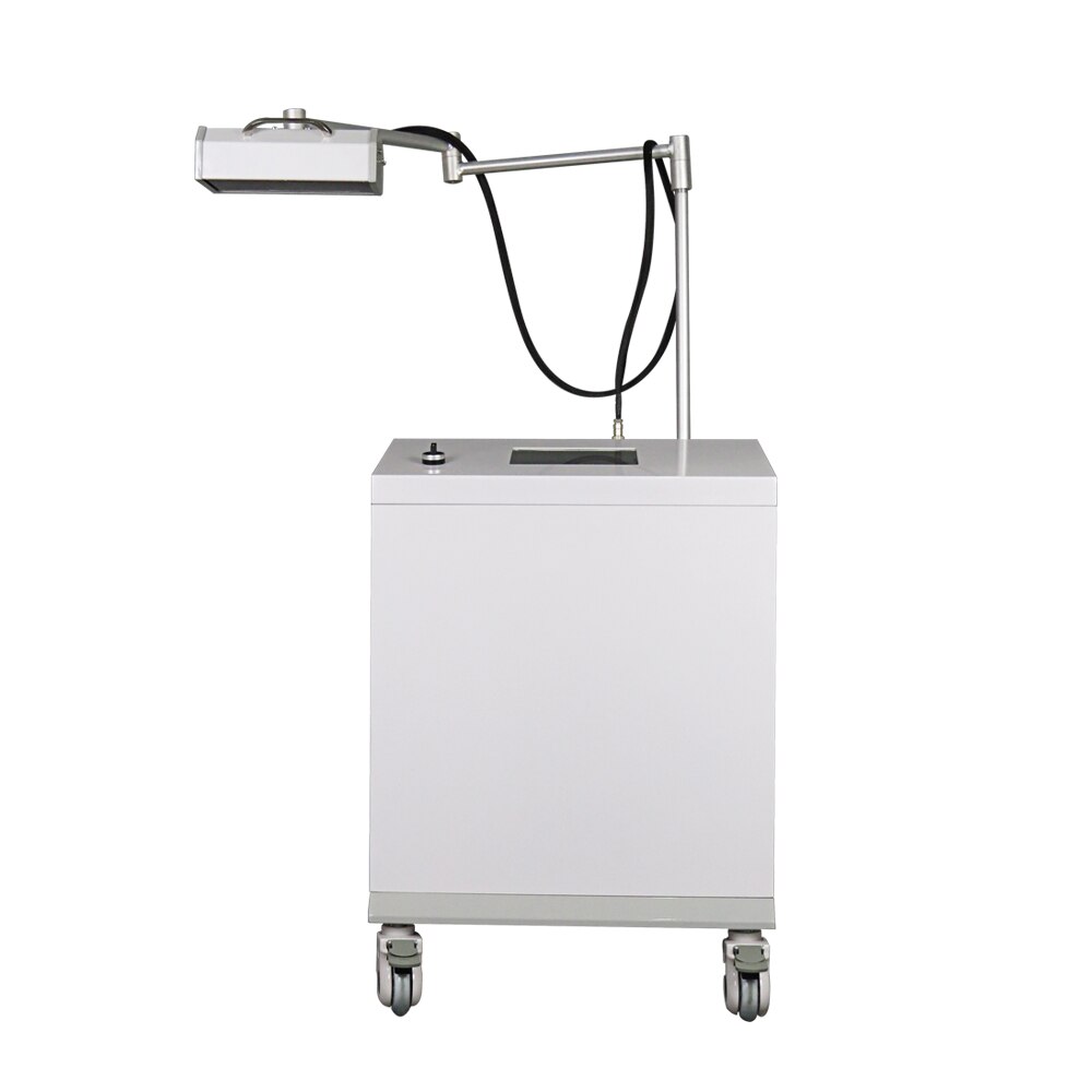 Vertical Pain Relief Red Light Therapy Machine 808nm Wavelength Diode Laser Eczema Herpes Simplex Removal For Beauty Salon Use