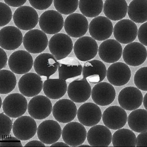 Monodisperse Green Fluorescent Microsphere/excitation 488nm/ Emission 518nm/ Polystyrene Green Fluorescent Microsphere